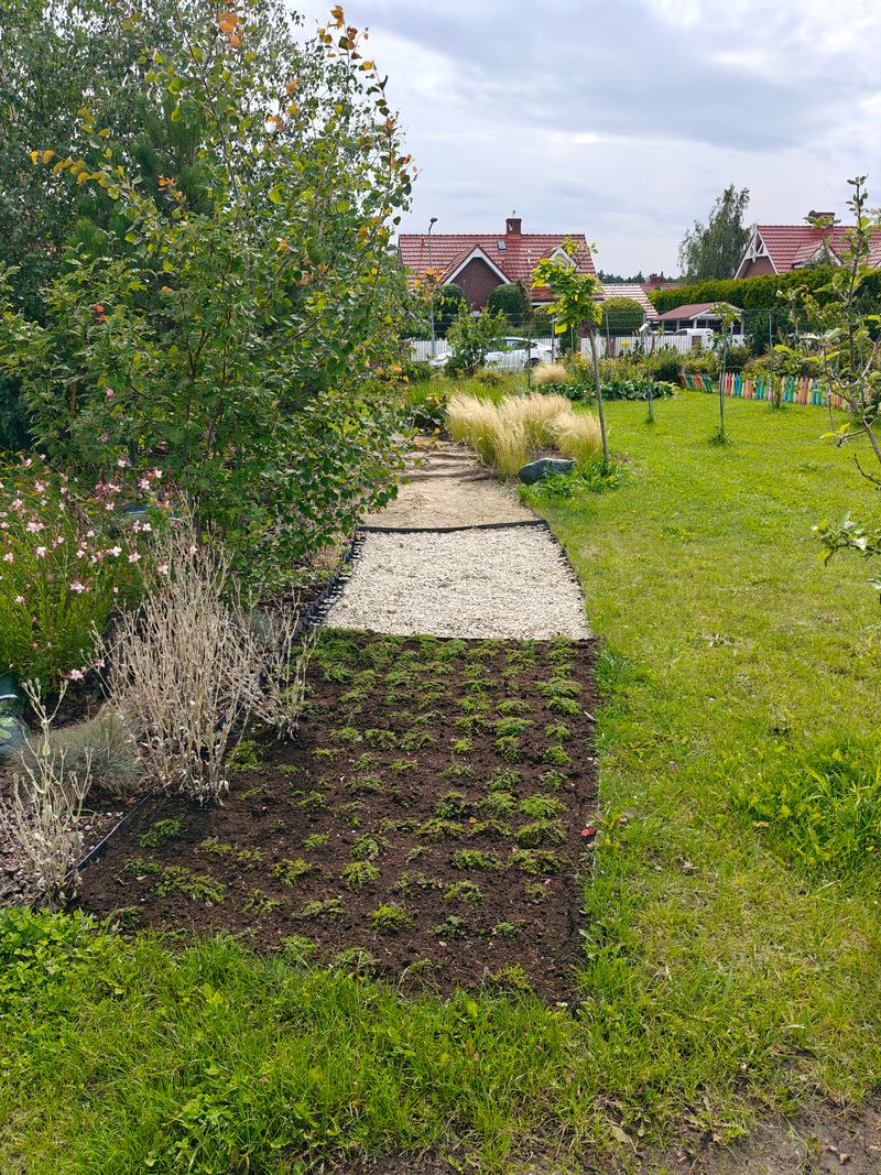 ścieżka sensoryczna